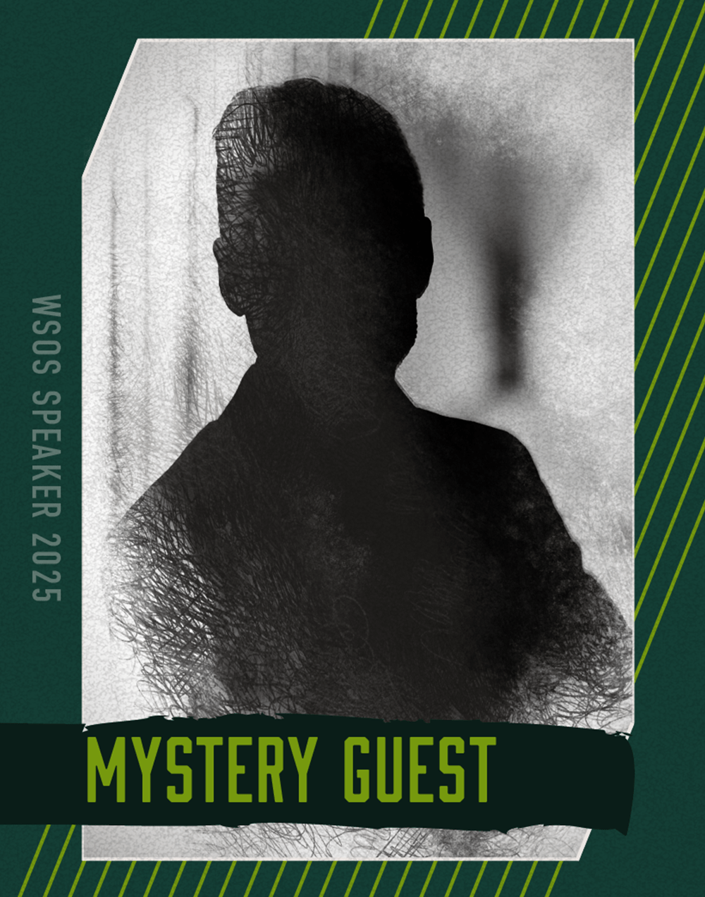 mystery-guest